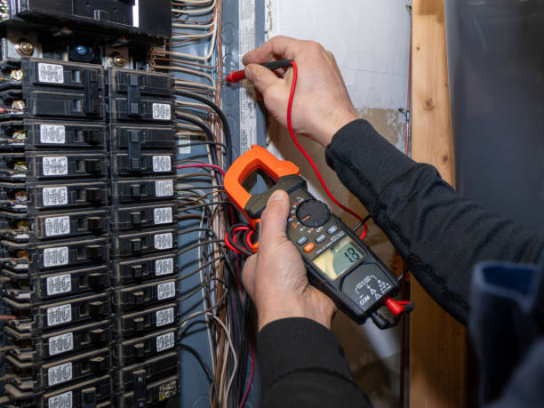 Best Ceiling Fan Installation Electrician  in Franklin, VA